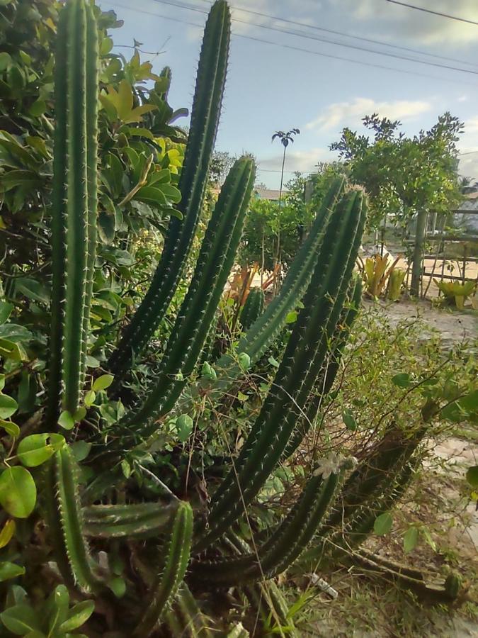 Pousada Quintal Dos Sonhos Xando Caraíva Buitenkant foto