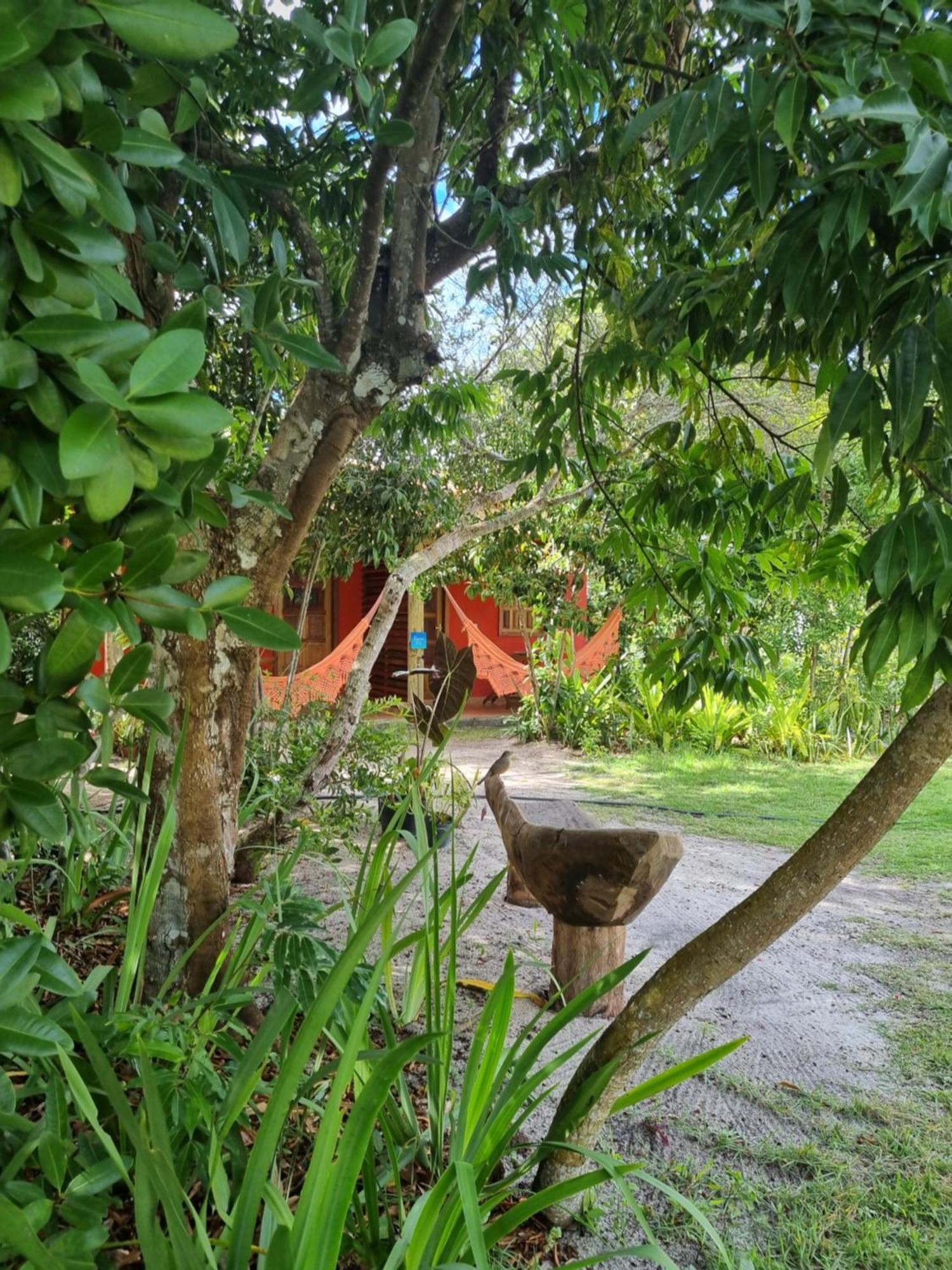 Pousada Quintal Dos Sonhos Xando Caraíva Buitenkant foto